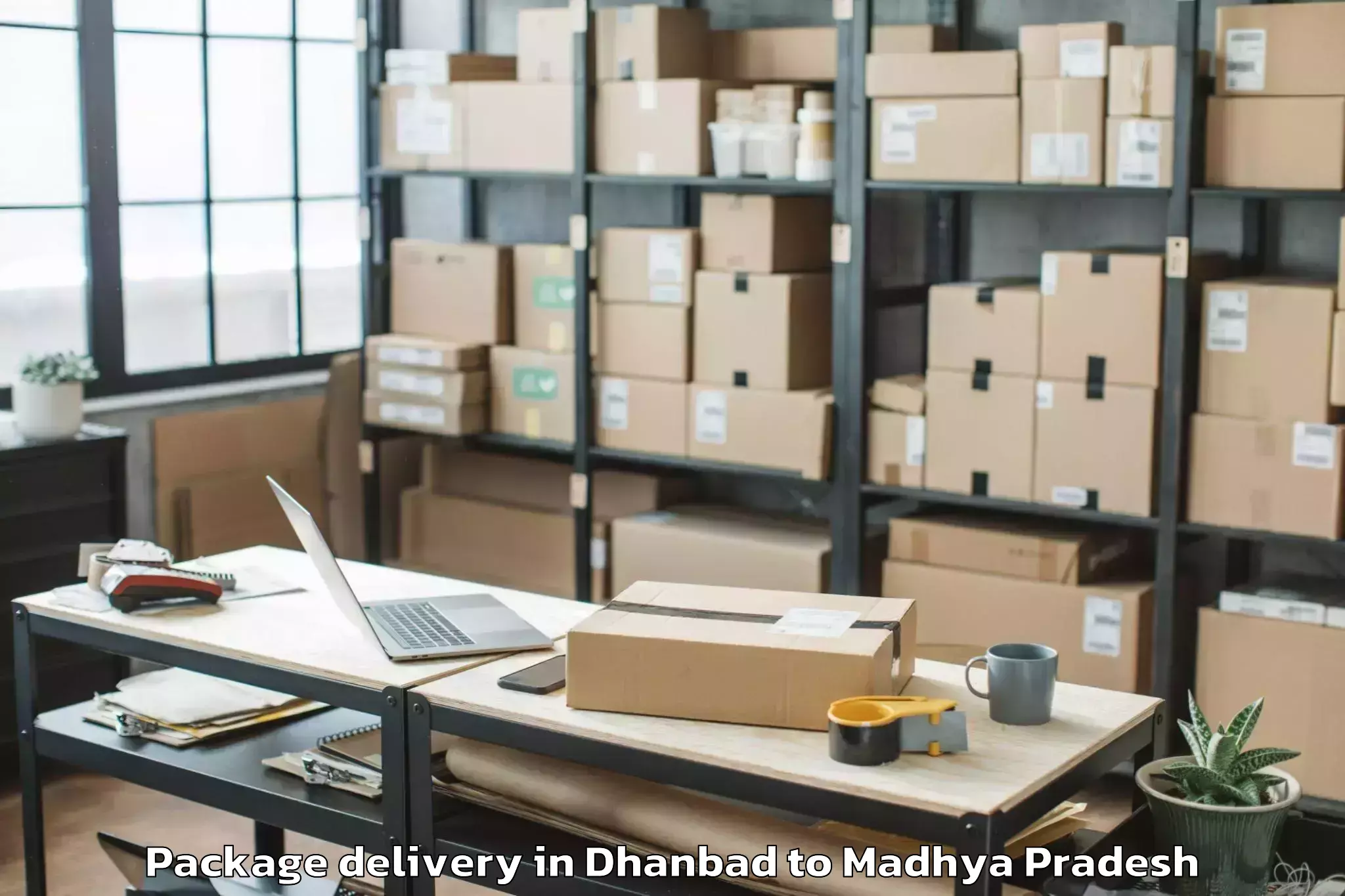 Book Dhanbad to Biaora Package Delivery Online